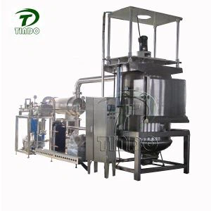 과일 진공 프라이